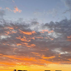 Meet your Posher, Ella